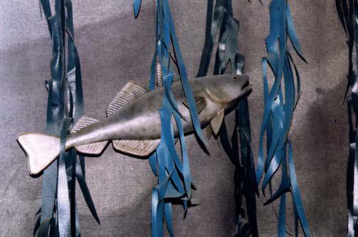 fish28.jpg