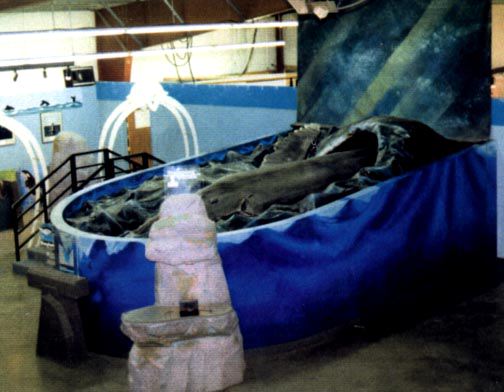 humpback09.jpg