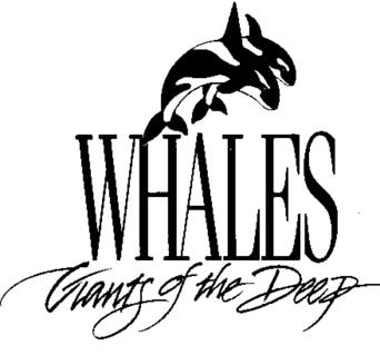 logo01.jpg