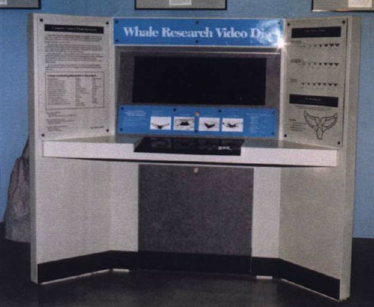 research19.jpg