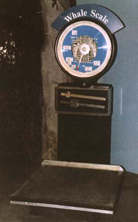 scale15.jpg