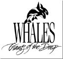 logo01.html