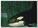 orca1.html