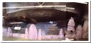 spermwhale4.html
