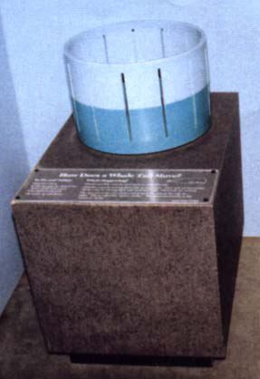 zoetrope14.jpg
